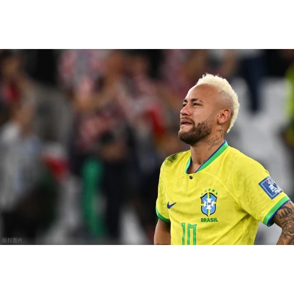 2026国际足联世界杯 APP