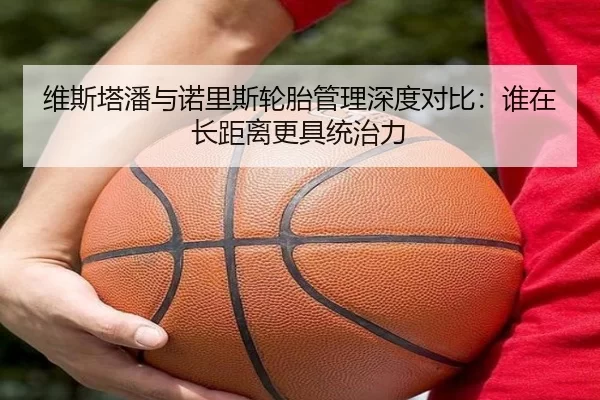 维斯塔潘与诺里斯轮胎管理深度对比：谁在长距离更具统治力